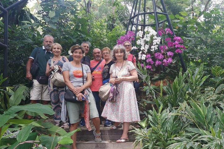 Singapour: visite à pied des points forts et des trésors cachés avec un guide