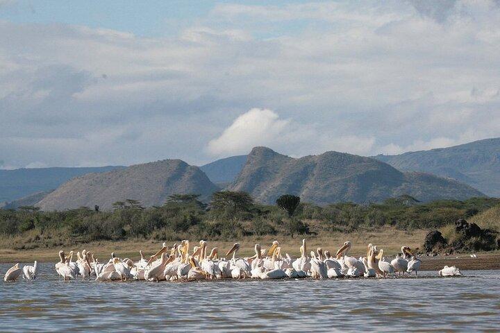 Tour preistorico di 2 giorni a Elemantaita, Soysambu e Kariandusi