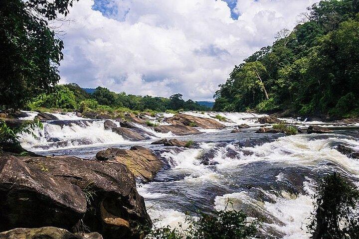 Excursion d'une journée à Athirappilly Water Falls en taxi de Kochi