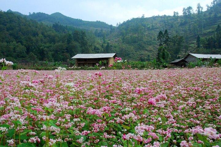 2 - Dag Hagiang - Dong Van Karst-plateau