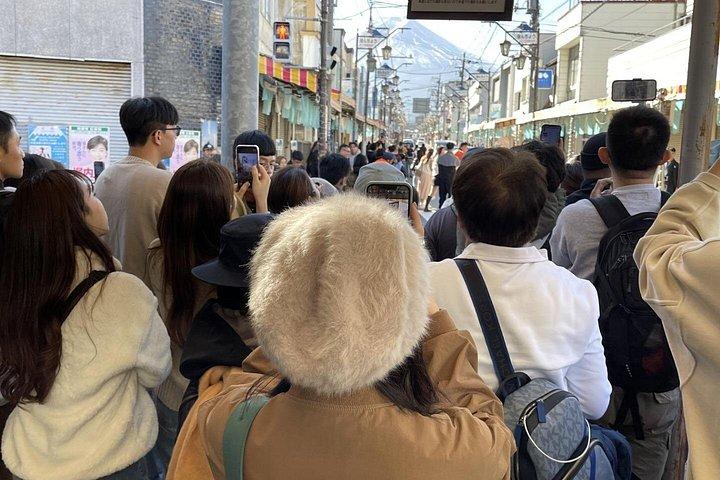 富士山と河口湖桜まつり観光ツアー