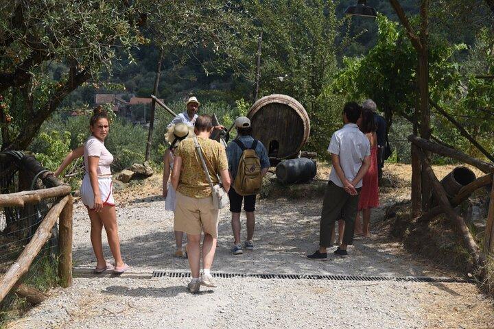 Tour d'une journée à la ferme de Sorrente : Classe de pizza, Fromagerie, Vin, Pick-up