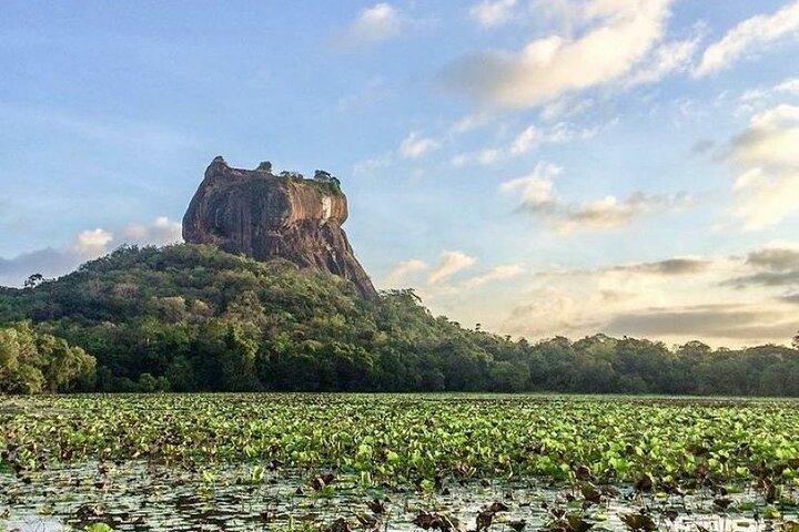 パシクダとカルクダからのシギリヤとダンブッラの日帰り旅行