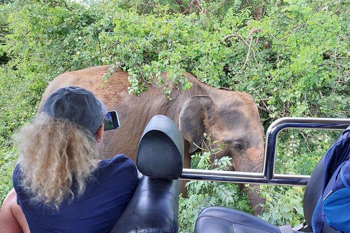 Wildtiersafari im Yala-Nationalpark