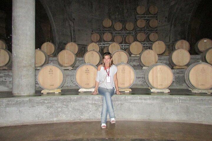 Mendoza Wine Route En heldags privat utflykt