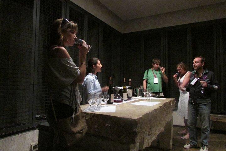 Mendoza Wine Route En heldags privat utflykt
