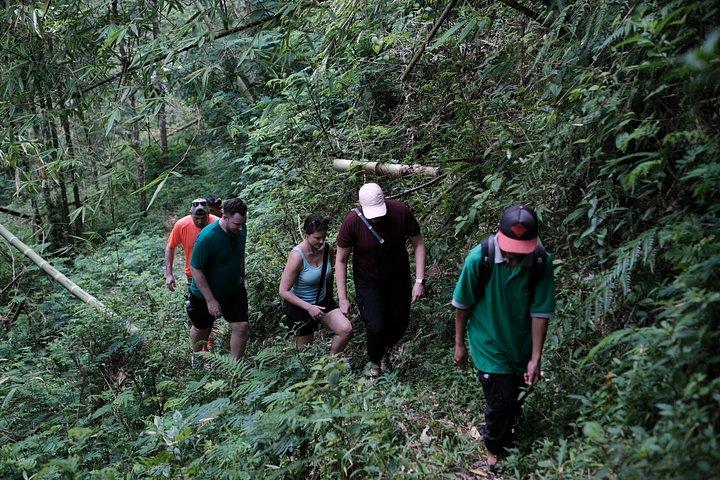 メラピ山：植物村を巡る穏やかなソフト トレッキング ツアー