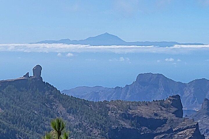 Excursion Privée Les montagnes de Gran Canaria de 2 à 4 personnes