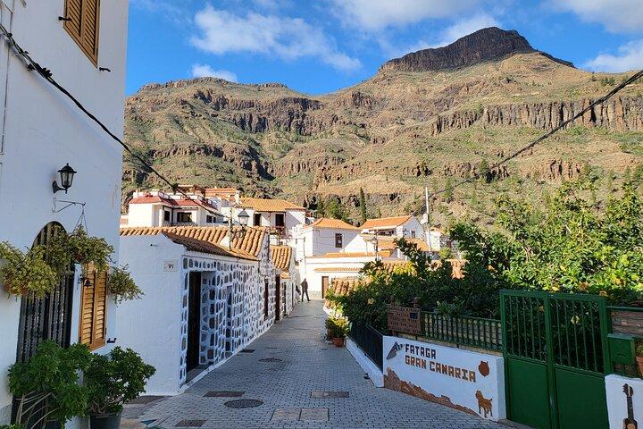 Excursion Privée Les montagnes de Gran Canaria de 2 à 4 personnes