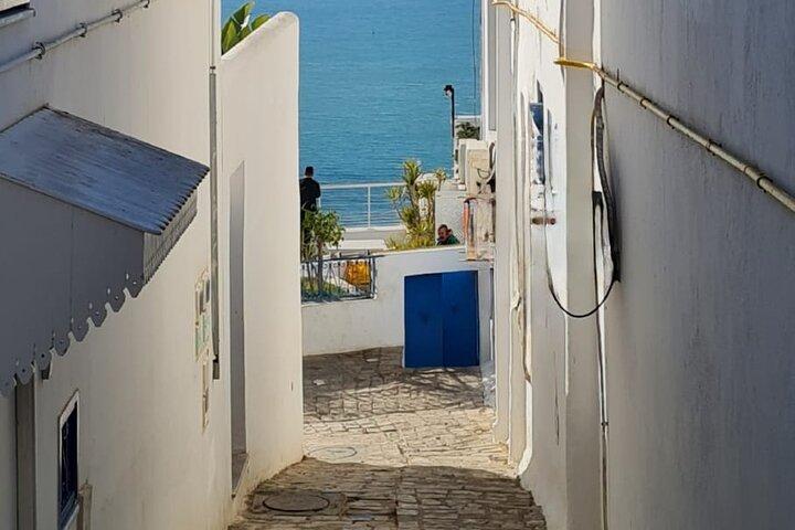 Half a day in Sidi Bousaid from Hammamet