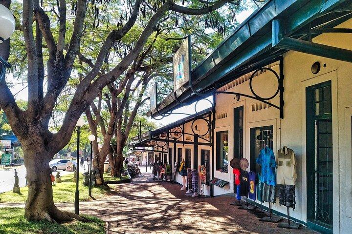 ビクトリア フォールズ タウンのガイド付きウォーキング サファリとショート ブッシュ ウォーク