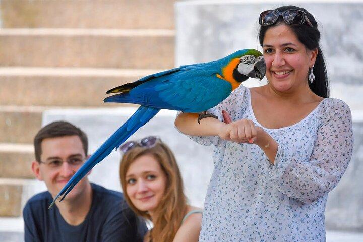 Kuala Lumpur vogelpark & plattelandsontsnappingstocht