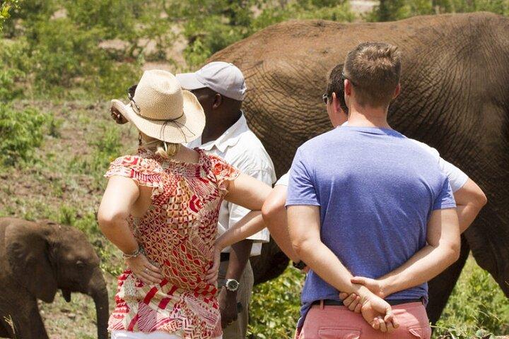 4 dagars Victoria Falls Experience