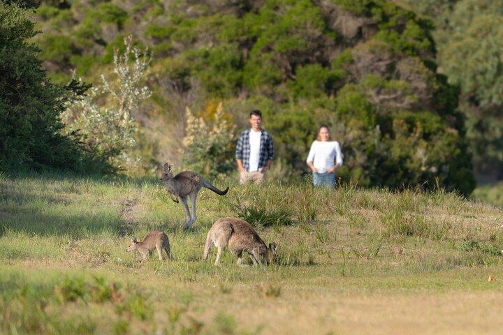 Wilsons Promontory Wilderness Day Tour