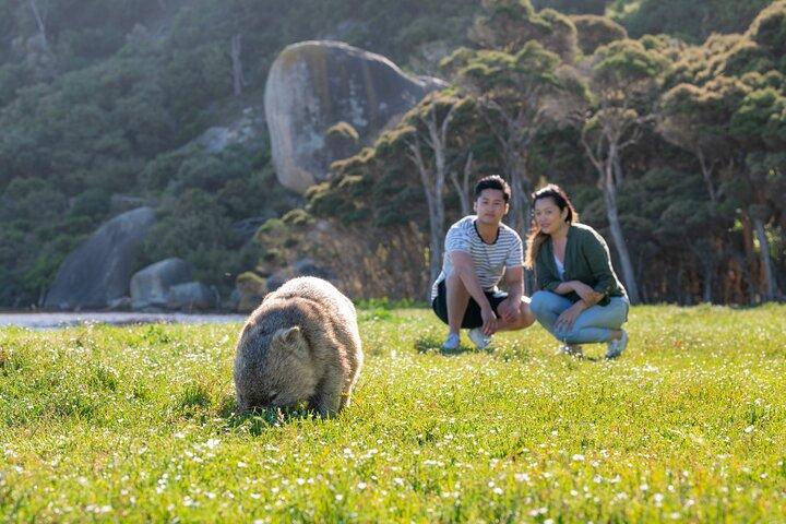 Wilsons Promontory Wilderness Day Tour