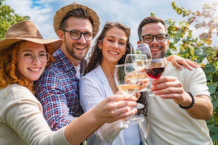 Visite privée de Pompéi et déjeuner dans un vignoble sur les pentes du Vésuve