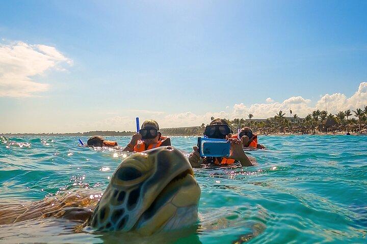 Experimente nadar con tortugas y explore las ruinas de Tulum. Almuerzo incluido.
