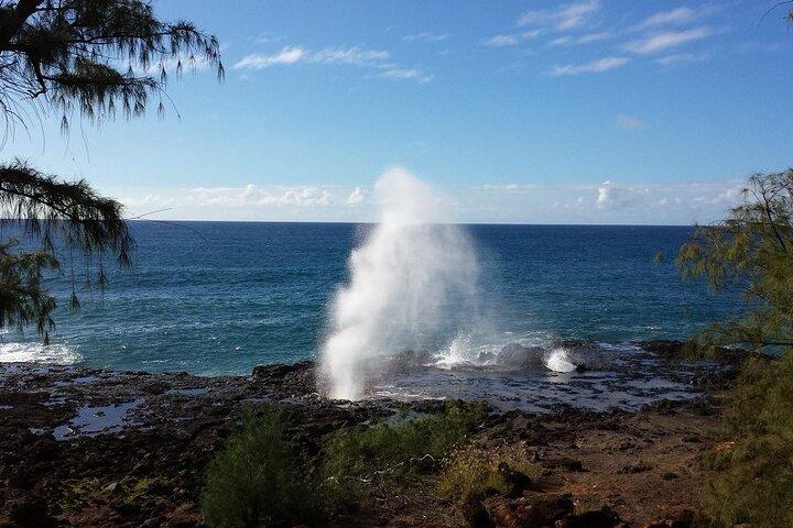 Tour avventura Waimea Canyon per piccoli gruppi e oltre con pranzo