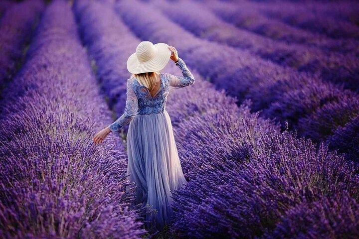 Tour privado de día completo a los campos de lavanda desde Marsella