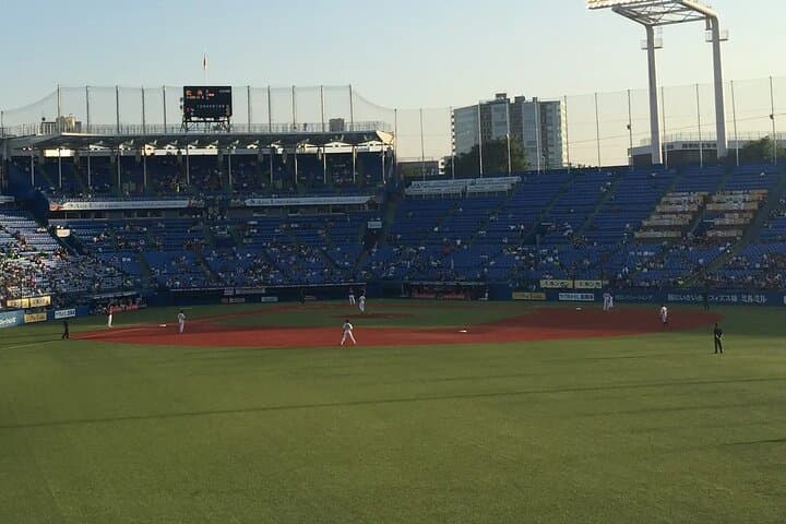 Catch a Baseball Game in Tokyo with a Local - Tickets Included
