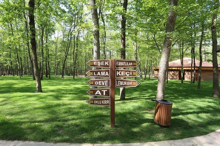 Tour privato di Sapanca e Masukiye da Istanbul