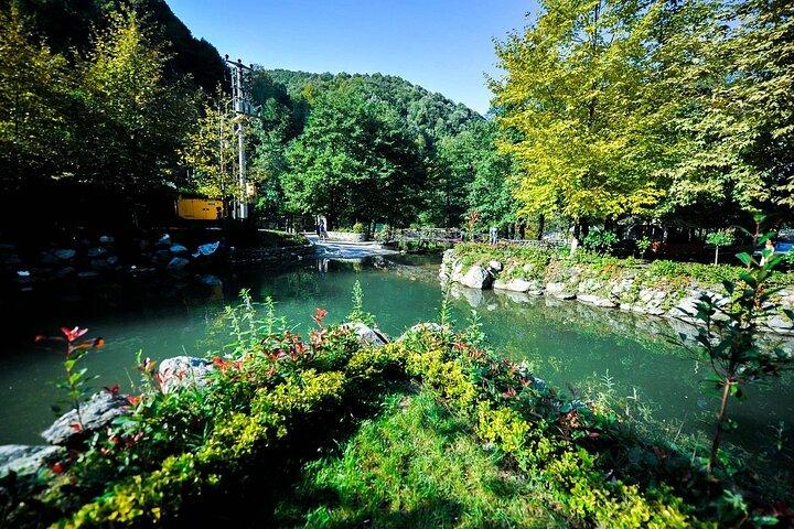 Private Sapanca and Masukiye Tour from Istanbul