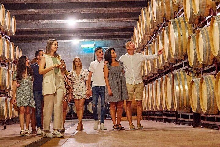 Exklusive Halbtagestour durch Weingüter und Olivenöl ab Mendoza