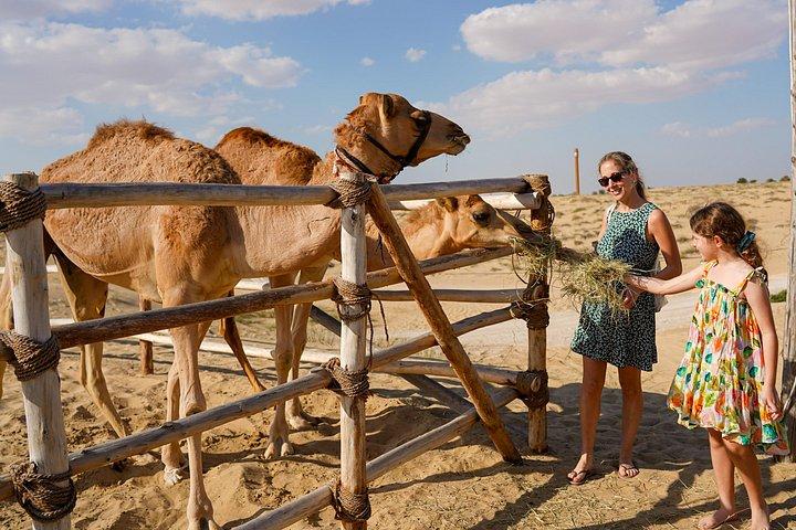 Dubai Self-Drive Quad Bike, Camels, Stargazing & 5* BBQ Al Khayma