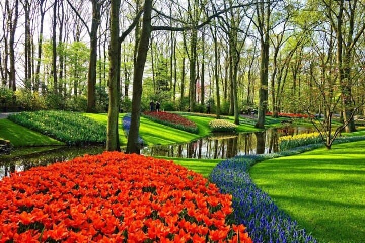 Private Sightseeing Tour to Keukenhof Windmills and Cheese Farm
