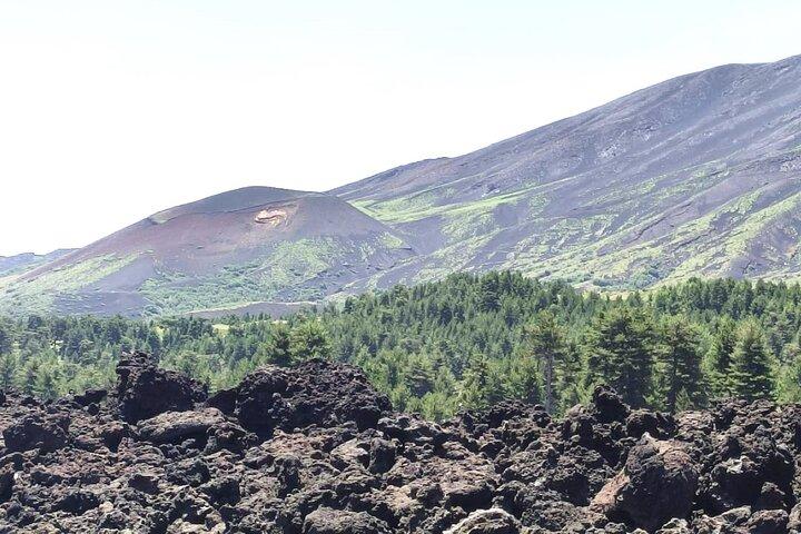 Private tour of Etna with food and wine tasting in the cellar