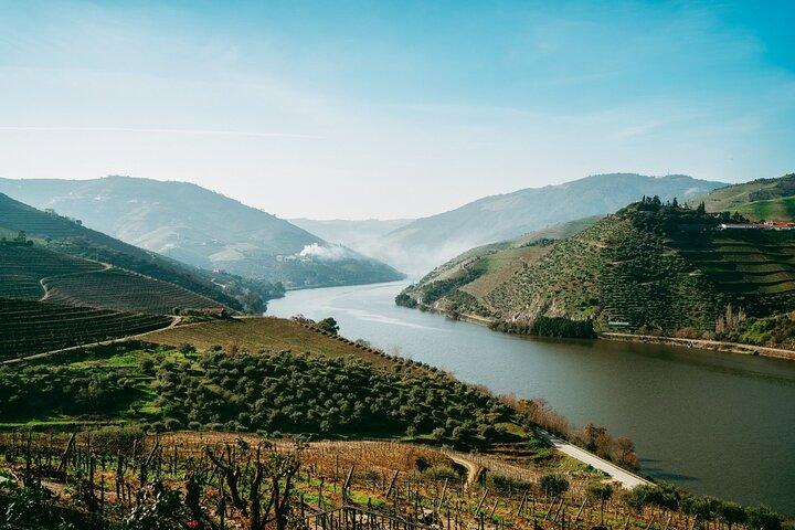 Porto: Dourovallei-tour met 2 wijnhuizen, lunch en cruise