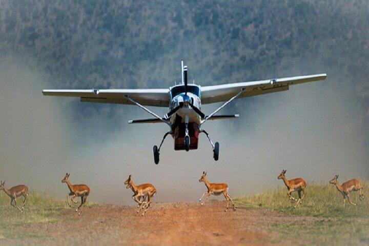 3 jours de safari de luxe au Masai Mara Sarova avec une jeep