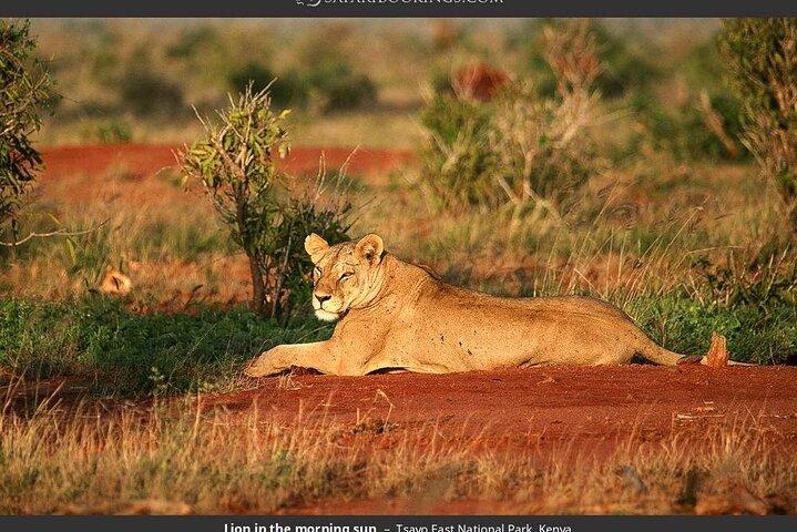 3 dias & 2 noites Tsavo East & West por Humphrey Ndungu Tour's
