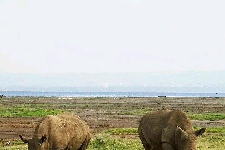 3 dias & 2 noites Tsavo East & West por Humphrey Ndungu Tour's
