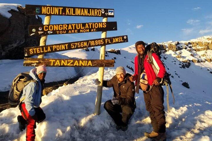 8-dages Shira-rute Kilimanjaro-klatretur