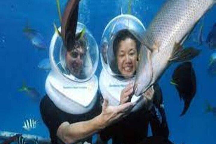 Flyv ind og flyv ud Great Barrier Reef Cairns dagstur