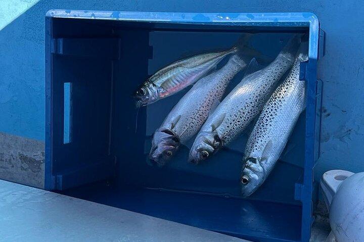Escursione di pesca in mare nei pressi del faro di Cordouan