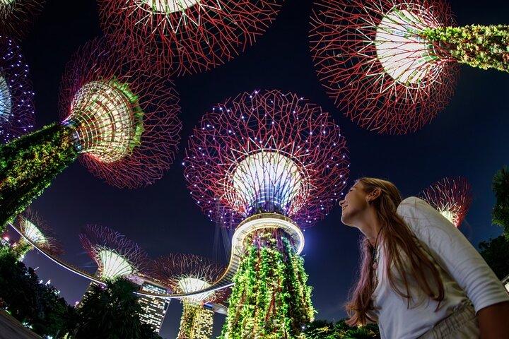Singapore i bevægelse: Flyer, flod og have
