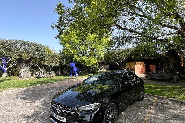 Tour privado de Arrábida - medio día