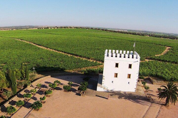 Food & Wine Tour Privado en Alentejo