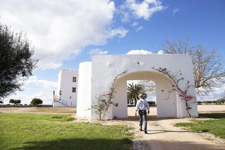 Food & Wine Tour Privado en Alentejo