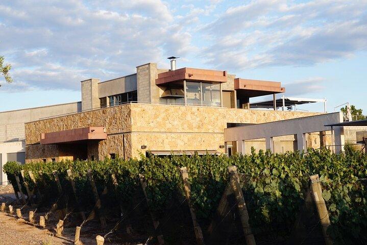 Tour dei vini di Mendoza con pranzo