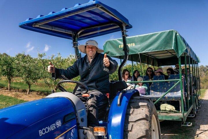 果物狩りと自然のプライベート ツアー ヤラ バレーとウォーバートン