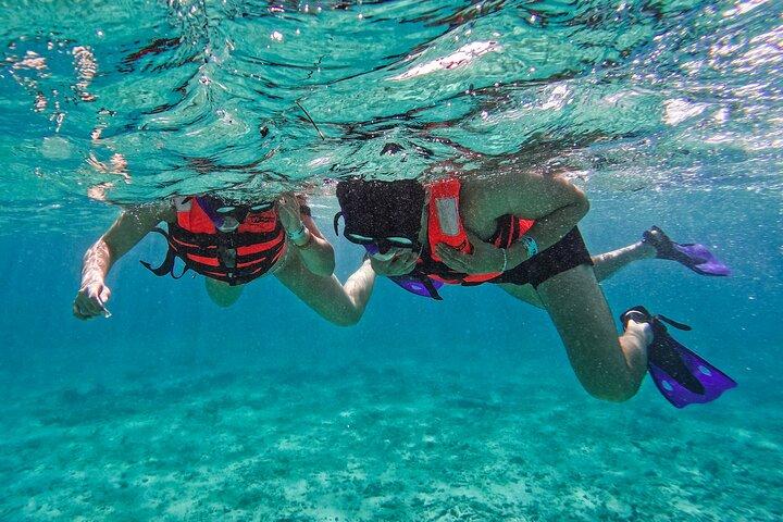 1,5 timme Snorkling vid Tulums paradisrev