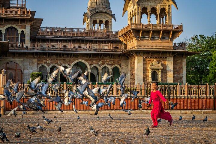 Jaipur City Day Tour from Delhi with Private Transportation