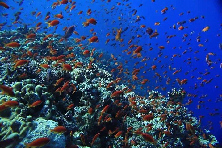 Orange Bay Island snorkeltrip en watersporten in Hurghada