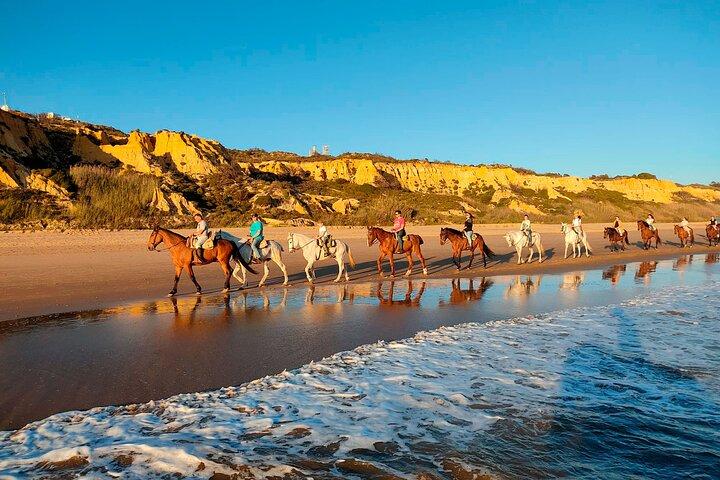 Paardrijroute door Doñana + bezoek aan El Rocio-privétour