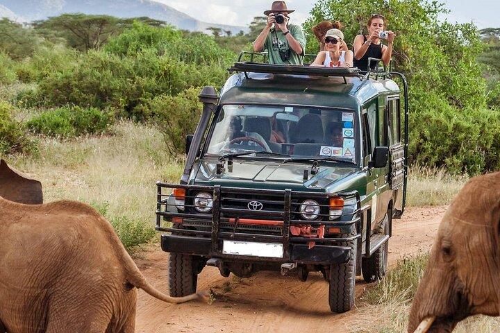 5 días Mombasa, Tsavo East, Taita Salt Lick, Tsavo West, Amboseli,
