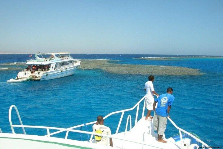 Hamata Island Snorkling hel dag i Marsa Alam med lunch