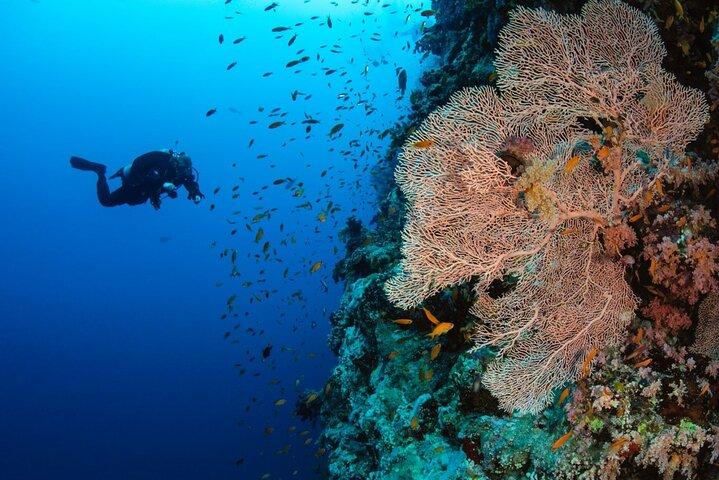 Orange Bay Island snorkeltrip en watersporten in Hurghada